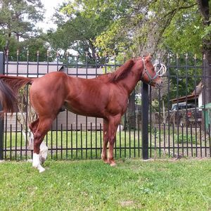 Meet your Posher, Marcos